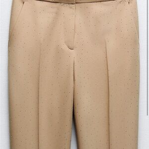 Sparkly Zara pants